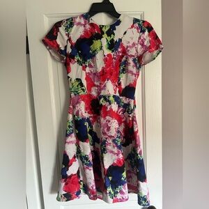 Milly Multicolor Dress